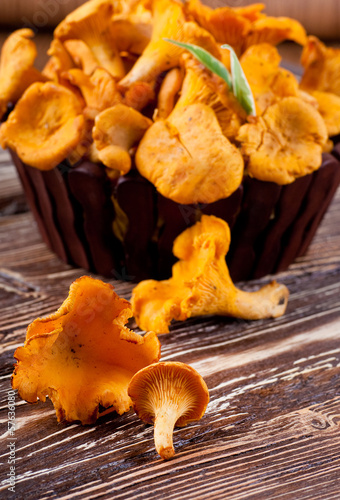 Chanterelle mushrooms in a basket with forest leaves