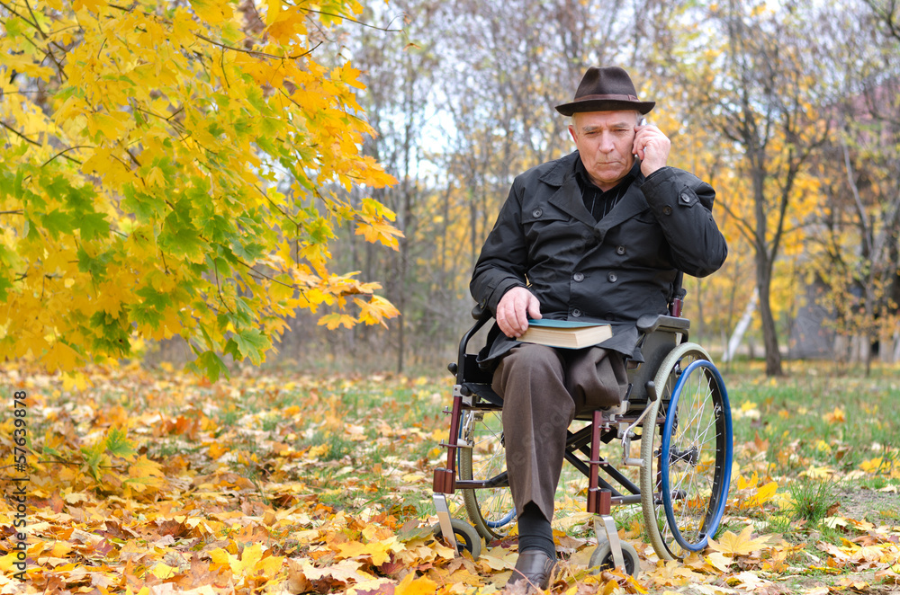 Elderly disabled man in a wheelchair in a park Elderly disabled man in a wheelchair in a park
