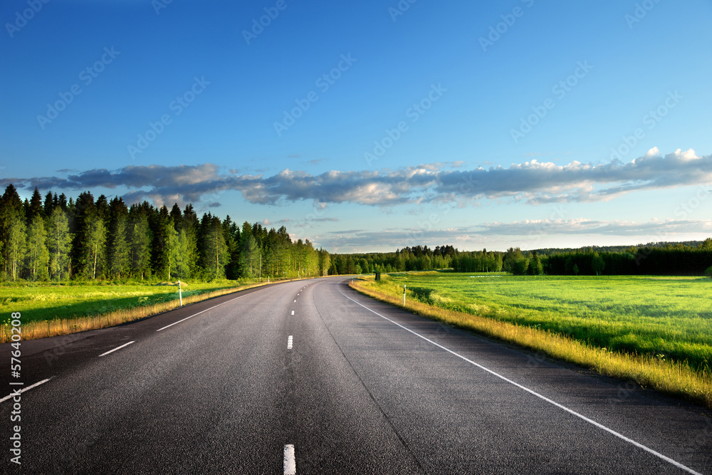 Asphalt road in forest