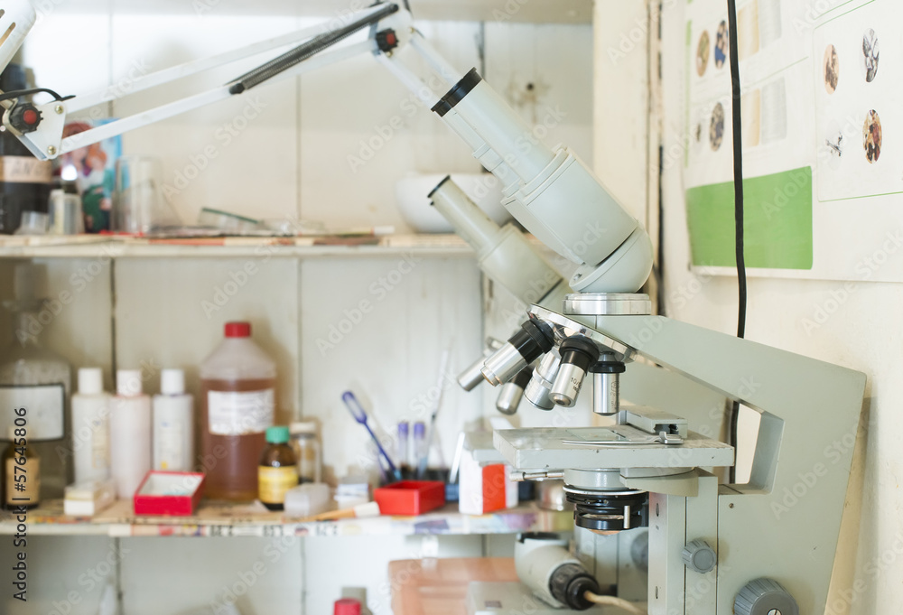 Veterinary laboratory. Veterinary laboratory.