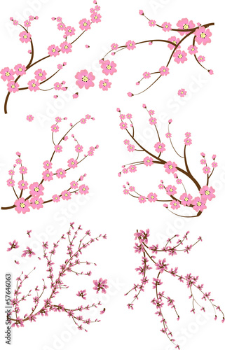 Set of six japanese branch