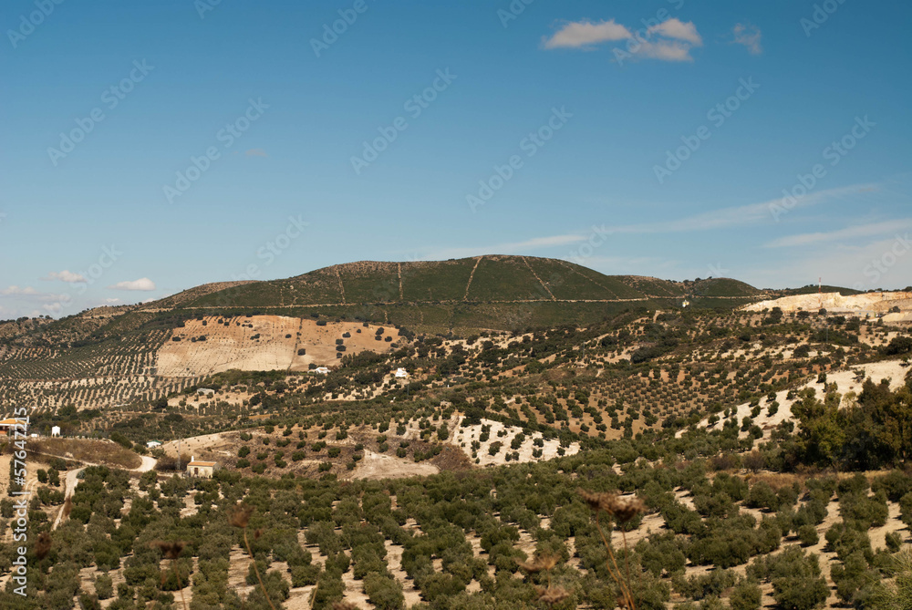 Spanish landscape outside Olvera, Spain