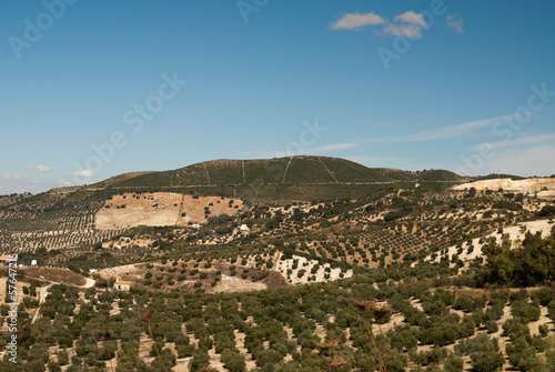 Spanish landscape outside Olvera, Spain