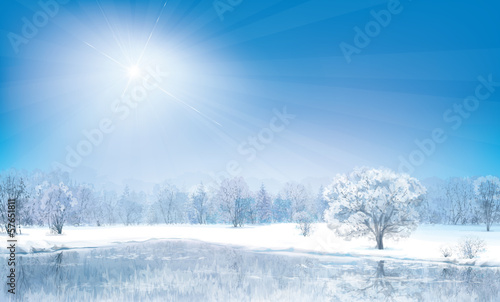 Vector winter landscape, sunny day.