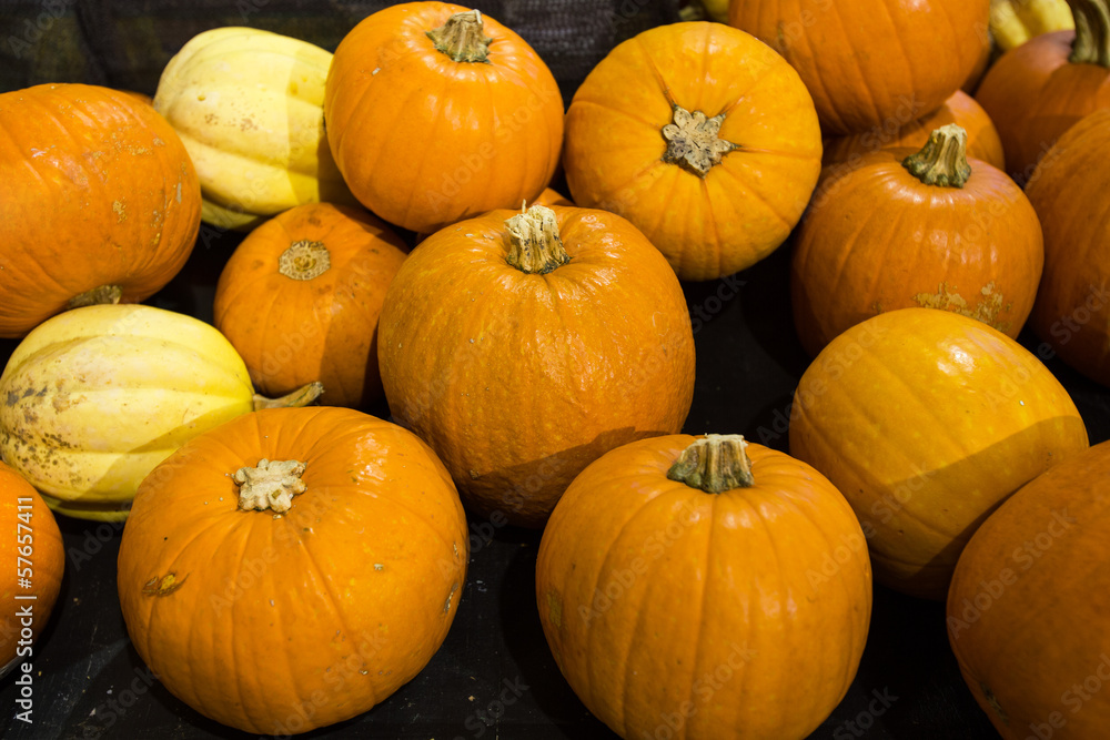 Pumpkins in food store Pumpkins in food store