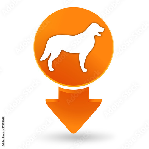 chien sur signet orange