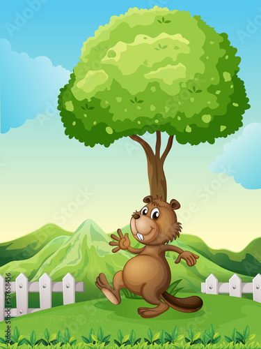 A brown beaver under the tree