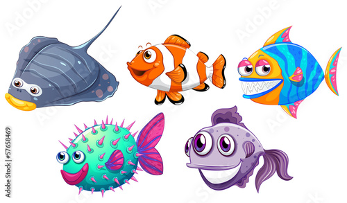 Five different fishes