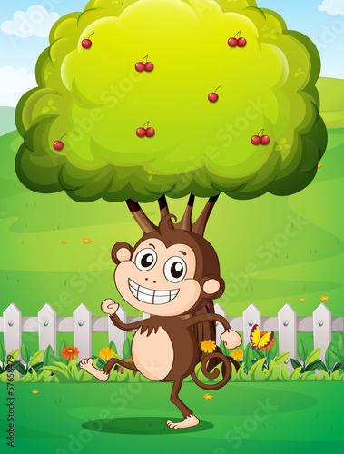 Fototapeta Naklejka Na Ścianę i Meble -  A smiling young monkey near the fence with a tree