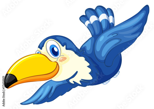 A blue bird photo