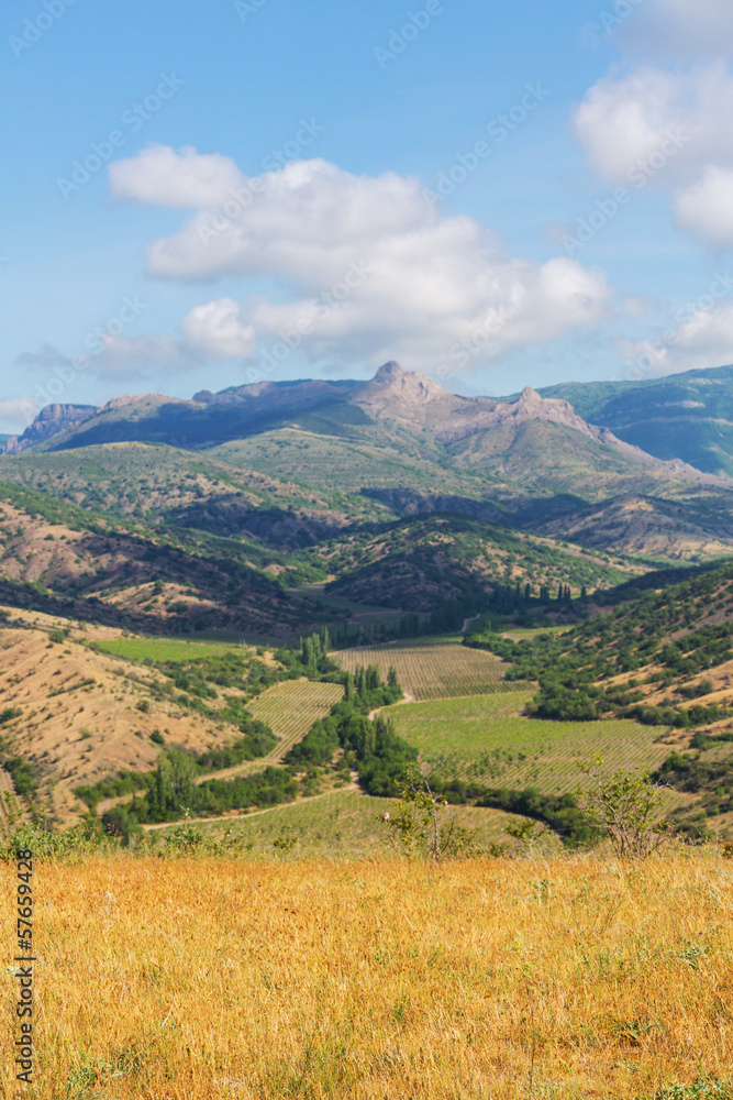 Fields in Crimea