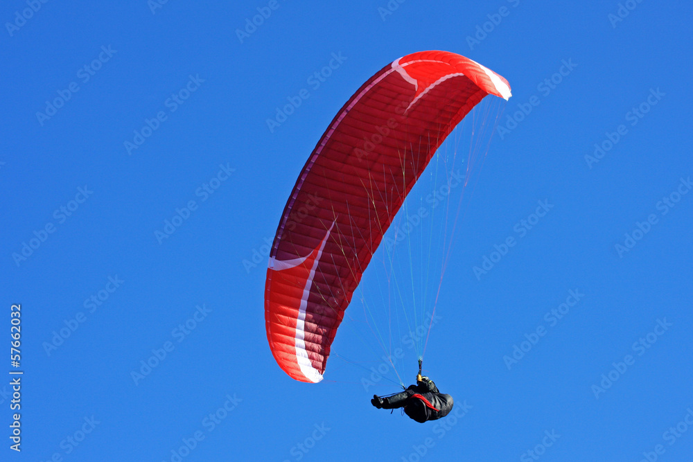 Paraglider