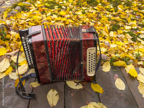 Konstfotografi russian accordion on the carpet of leafs