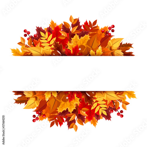 Autumn leaves background. Vector illustration.
