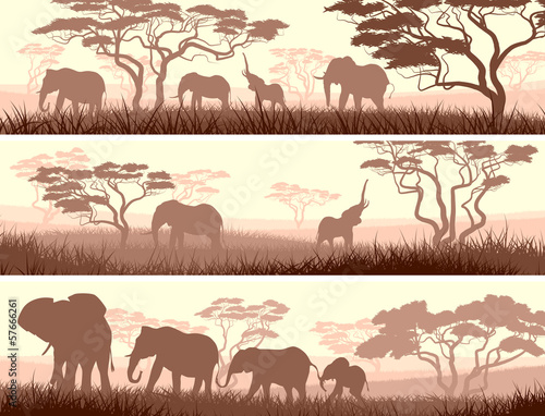 Horizontal banners of wild animals in African savanna.