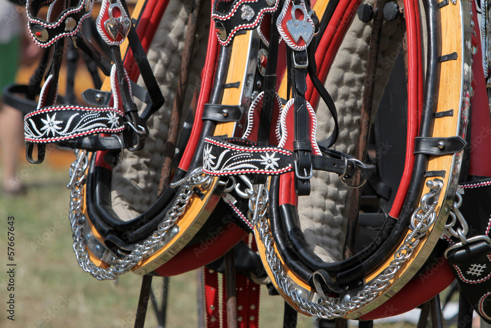 Kummet StockFoto Adobe Stock