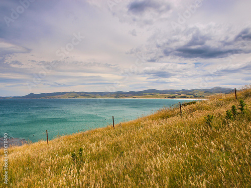 Abstract background of grassland