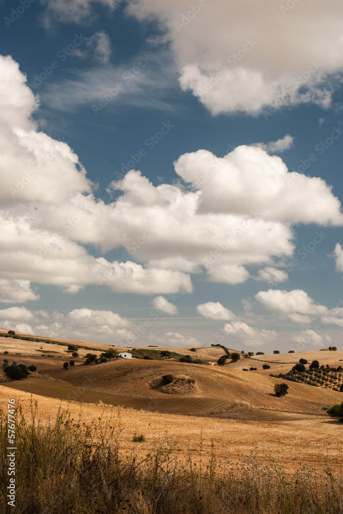 Fototapeta premium The landscape of Andalusia