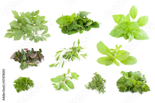Herbs collection