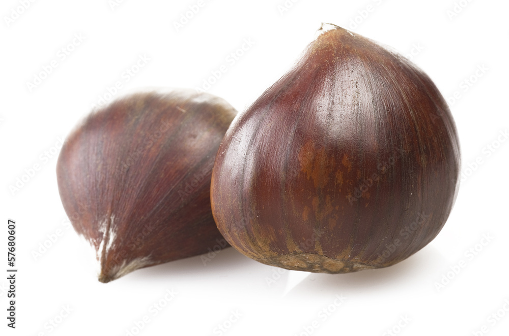 Fototapeta premium chestnuts group close up on the white