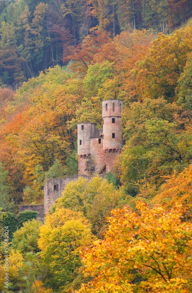 Burg Schadeck in Neckarsteinach