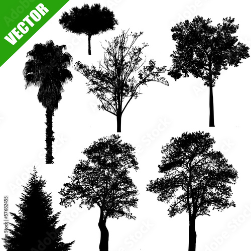 Various trees on white