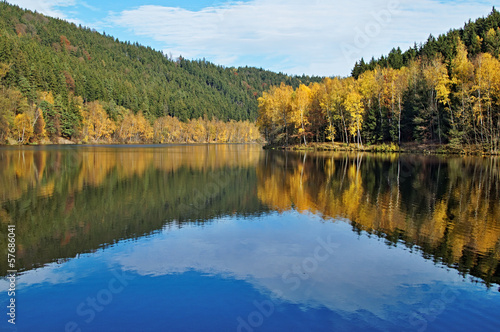 Trees with autumn leaves mirror above the surface of the pond