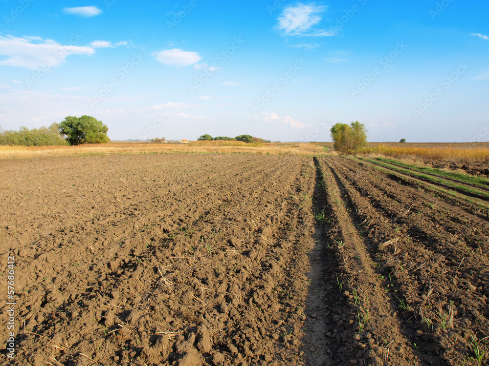 plowed field plowed field