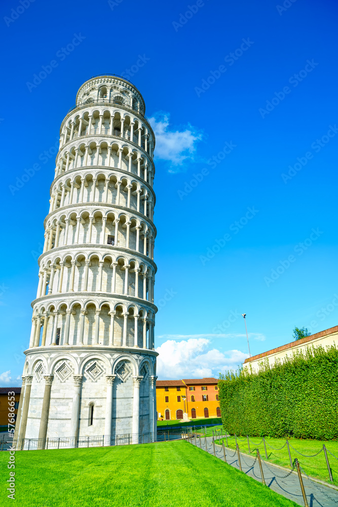 Leaning Tower of Pisa, Miracle Square. Italy