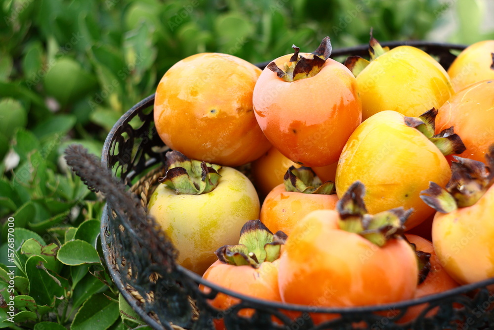 persimmon in basket with green background