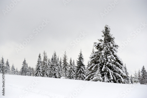 Winter landscape © byrdyak