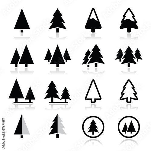 Fotografia Pine tree vector icons set