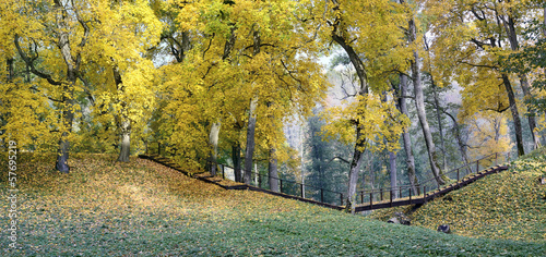 Autumn in a park photo