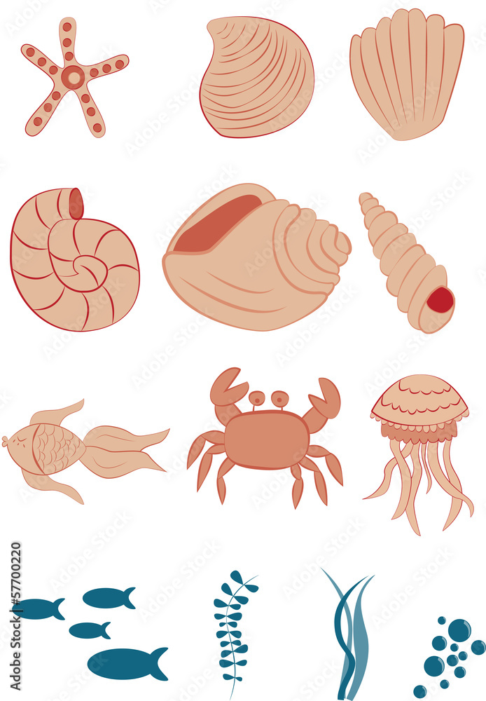 Sea set shell fish etc. - obrazy, fototapety, plakaty 