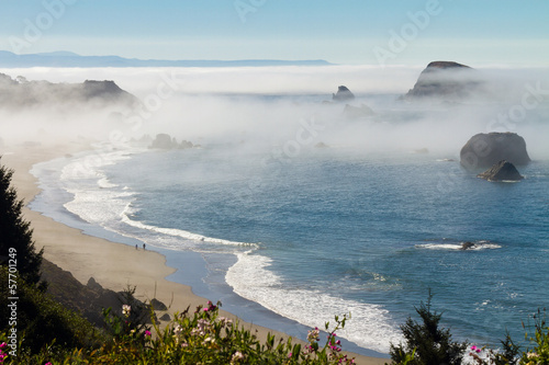 morning fog along coast at Brookings, Oregon