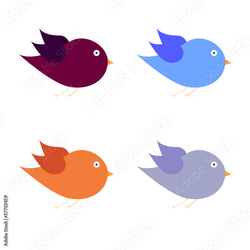 beauty bird color art vector illustration