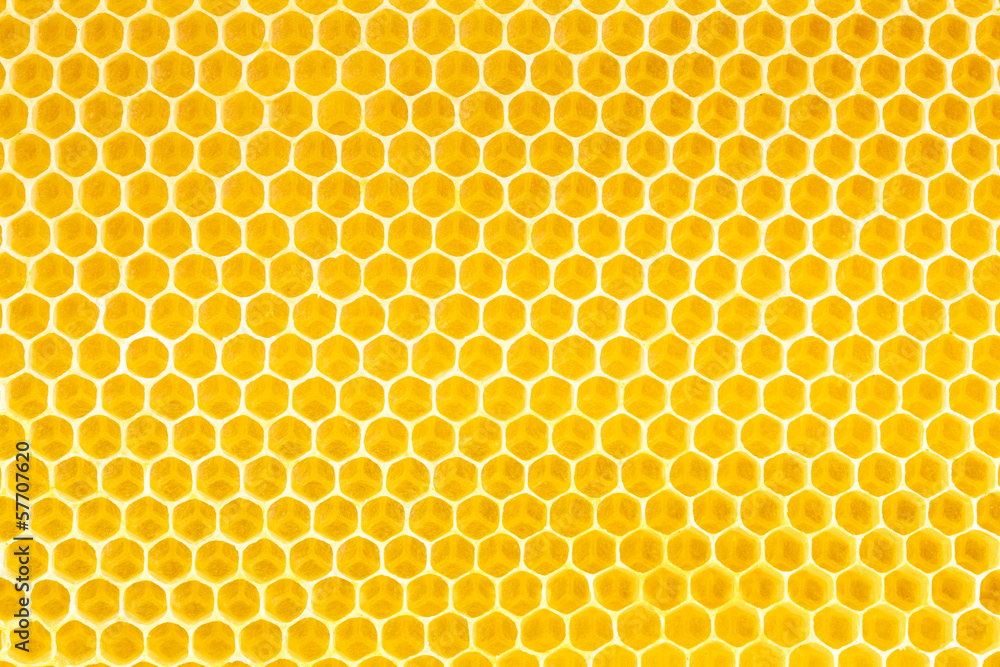 honey in honeycomb background