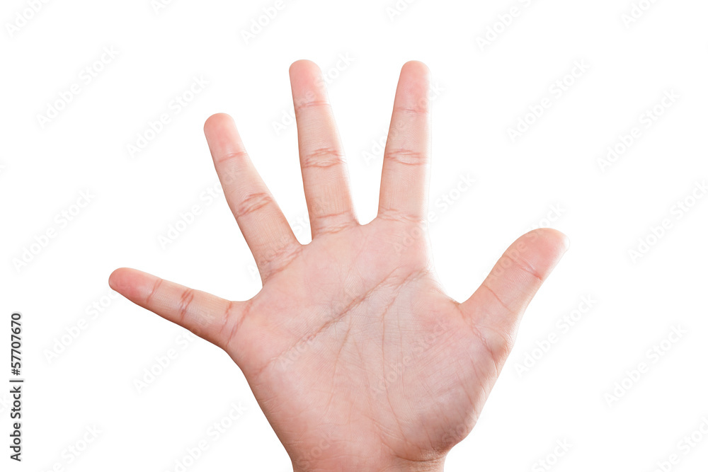 Woman hand isolated, with clipping path. Woman hand isolated, with clipping path.