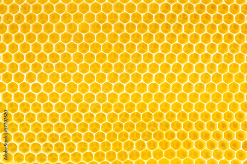 Photo honey in honeycomb background