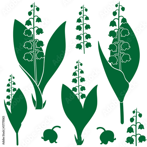 Fototapeta Naklejka Na Ścianę i Meble -  Lily of the valley