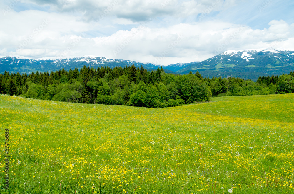 austrian landscape
