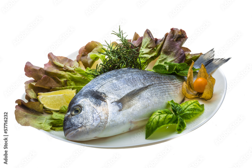 Fresh raw dorada Fresh raw dorada