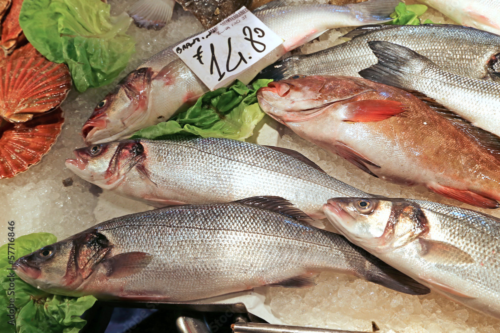 Fototapeta premium Seafood at Rialto fish market in Venice Italy