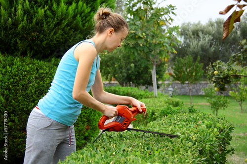 woman pruning shrub with tool in garden photo