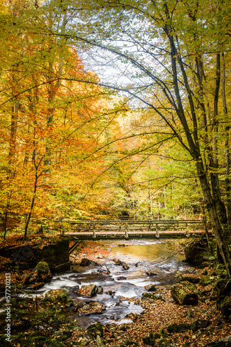 River in autumn photo