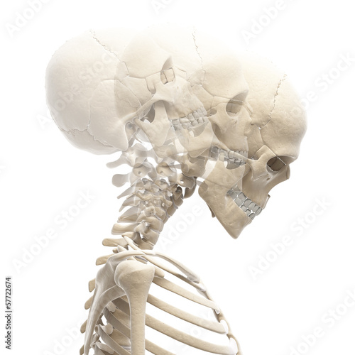 Foto guy bending his neck