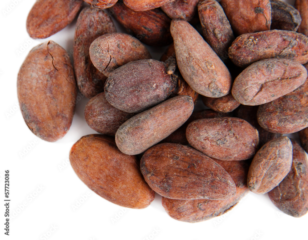 Obraz premium Cocoa beans isolated on white