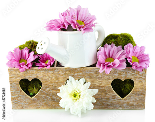 Fototapeta Naklejka Na Ścianę i Meble -  Beautiful white and purple flowers with watering can isolated