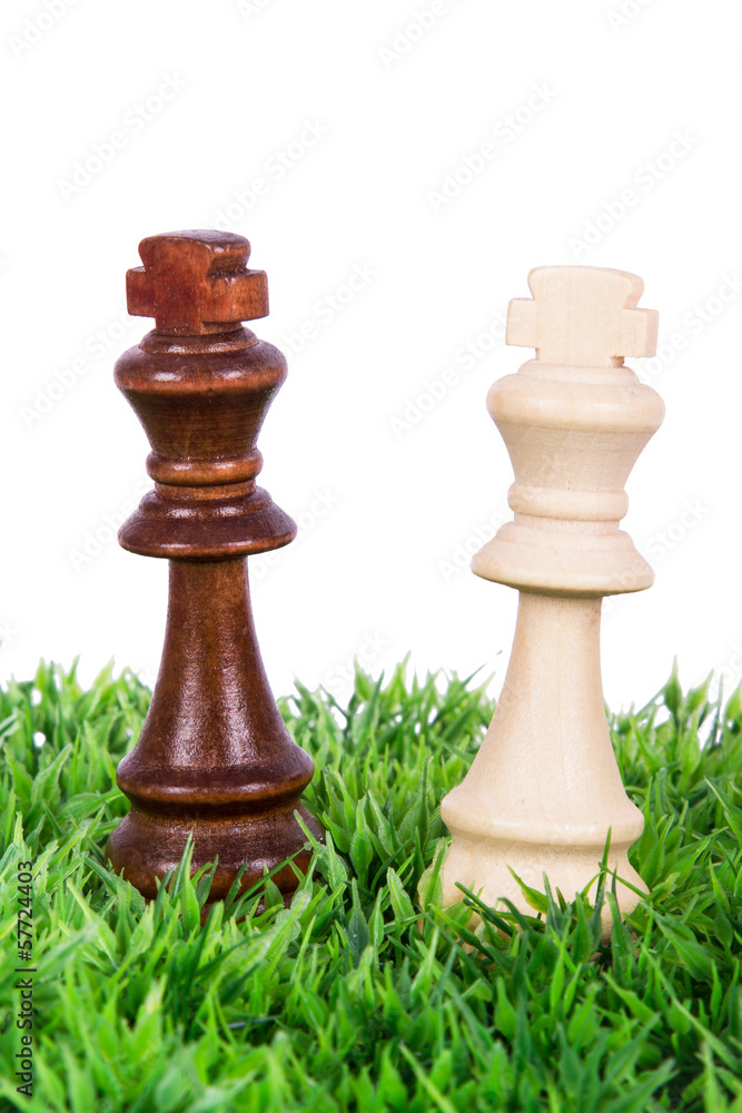 Chess Pieces on Grass