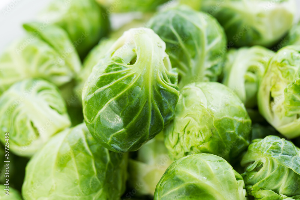 Freshly Clean Bushel Sprouts in a Pile Freshly Clean Bushel Sprouts in a Pile